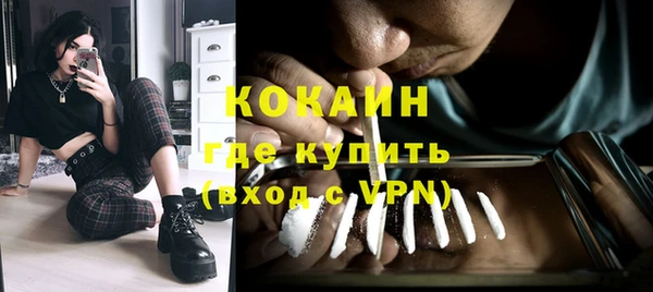 стаф Гусев