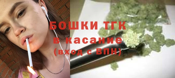стаф Гусев