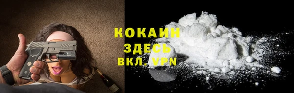 стаф Гусев