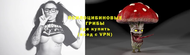 стаф Гусев