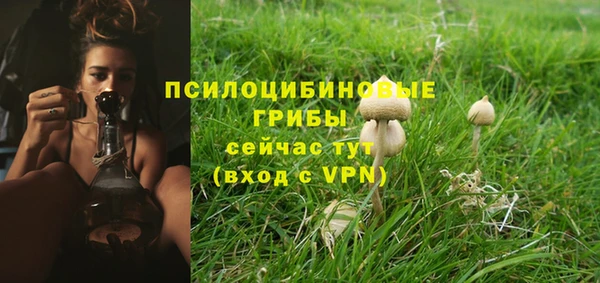 метамфетамин Гусь-Хрустальный