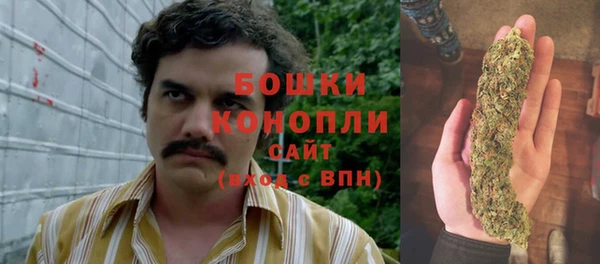 стаф Гусев