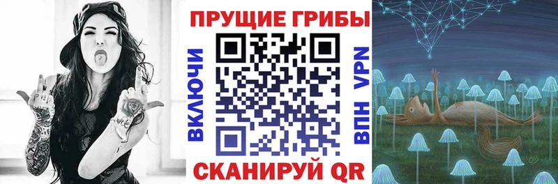 Галлюциногенные грибы мухоморы  Купить закладки  Константиновск 
